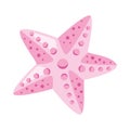 pink starfish cute