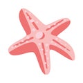 pink starfish design