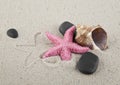 Pink starfish, shells and stones Royalty Free Stock Photo