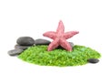 pink starfish, stones and sea salt isolated Royalty Free Stock Photo