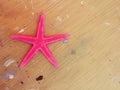 Pink starfish on wooden background