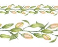 Pink Stargazer Lilies. Lily buds. Watercolor flowers. Seamless border. Hand-drawn art for greeting cards, invitations and interior