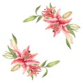 Pink Stargazer Lilies. Lily flower. Hand-drawn watercolor wreath. Artistic illustration