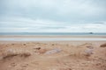 Pink stones on beach shore Royalty Free Stock Photo