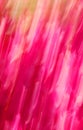 Pink streaks of color