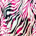 Pink stripe pattern.For art texture or web design.