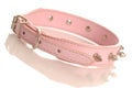 Pink studded dog collar Royalty Free Stock Photo
