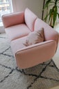 Pink stylish sofa by the window