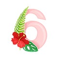 Pink Summer Number Six with Hibiscus Flower and Fern Leaf Vector Illustration Royalty Free Stock Photo