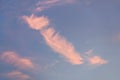 Pink sunset cirrus clouds on evening sky Royalty Free Stock Photo