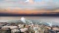 Pink sunset dramartic blue sky sea water splash rock stone nature landscape Royalty Free Stock Photo