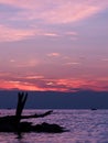 Pink sunset on Lake Michigan, Holland State Park beach Royalty Free Stock Photo