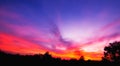 Pink sunset nature background. Royalty Free Stock Photo