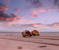 Pink sunset sky seashells on wooden pier at sunset at beach dramatic cloudy sky nature landscape background