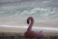 pink swan-shaped children's swimming float on the beach