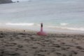 pink swan-shaped children's swimming float on the beach