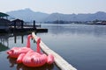 Pink swan toys in riverkwai river kanchanaburi province thailand