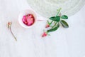 Pink tea cup with rose petals Royalty Free Stock Photo