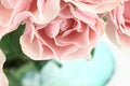 Pink Tea Roses Royalty Free Stock Photo