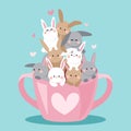 Pink teacup filled with pile of rabbits