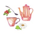 Pink teapot, cup, spoon, camomile and berry set. Watercolor.