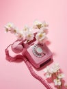 Pink telephone with flowers on a pink background