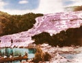 Pink Terraces - New Zealand