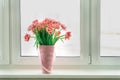 Pink terry tulips in a basket stand on the windowsill