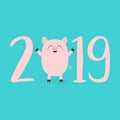 2019 pink text. Cute baby pig. Piggy piglet. Happy New Year Chinise symbol. Cartoon funny kawaii smiling character. Flat design. Royalty Free Stock Photo