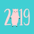 2019 pink text. Cute pig. Piggy piglet. Happy New Year Chinise symbol. Cartoon funny kawaii baby character. Flat design. White Royalty Free Stock Photo