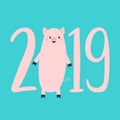 2019 pink text. Cute pig. Piggy piglet. Happy New Year Chinise symbol. Cartoon funny kawaii smiling baby character. Flat design. Royalty Free Stock Photo