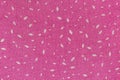 Pink textile texture with a white motif