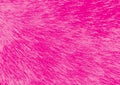 Pink textured background for wallpaper