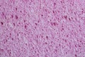 Pink textured porous background. Rubber sponge macro photo. Copy space Royalty Free Stock Photo