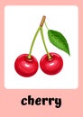 Pink - themed Colorful and Illustrative Fruits Flashcards - 14