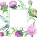 Pink thistle floral botanical flowers. Watercolor background illustration set. Frame border ornament square. Royalty Free Stock Photo