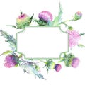 Pink thistle floral botanical flowers. Watercolor background illustration set. Frame border ornament square. Royalty Free Stock Photo