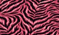 Pink Tiger Stripe Pattern - Abstract. Royalty Free Stock Photo