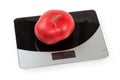 Pink tomato on the digital kitchen scale on white background Royalty Free Stock Photo