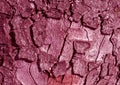 Pink toned tree bark surface. Royalty Free Stock Photo