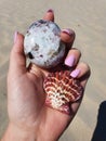 Pink Tourmaline Turmaline Quartz with Pink flower on the Beach Royalty Free Stock Photo