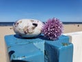 Pink Tourmaline Turmaline Quartz with Pink flower on the Beach Royalty Free Stock Photo