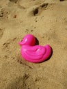 Pink toy duck on the sand Royalty Free Stock Photo