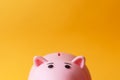 Pink toy piggy money box