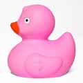 Pink toy rubber duck Royalty Free Stock Photo