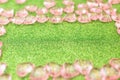 Pink transparent plastic hearts on green glittering background. Royalty Free Stock Photo