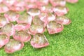 Pink transparent plastic hearts on green glittering background Royalty Free Stock Photo