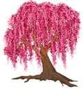 Pink tree Royalty Free Stock Photo