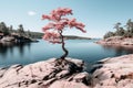 a pink tree stands alone on a rock by a lake