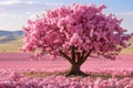 a pink tree stands in the middle of a field of pink flowers Royalty Free Stock Photo